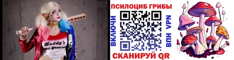 Галлюциногенные грибы мицелий  Заозёрный 